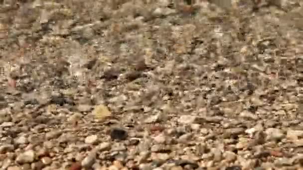 Mareas de agua sobre piedras de guijarro — Vídeos de Stock