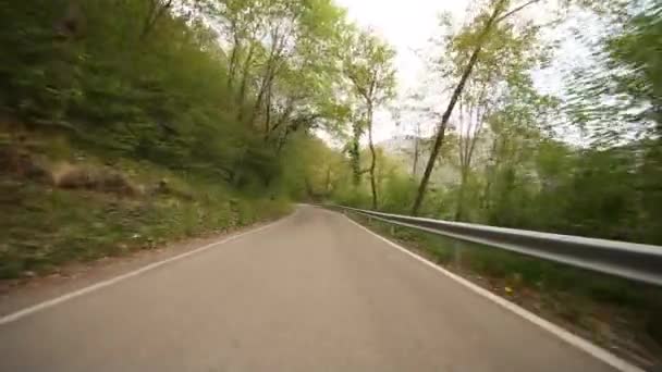 Körning i skogen i Italien — Stockvideo