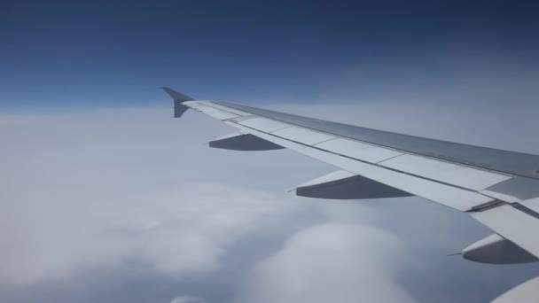 Flug in den Wolken — Stockvideo