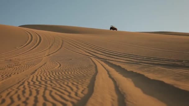 Buggy viaje — Vídeo de stock