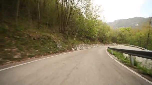 Körning i skogen i Italien — Stockvideo