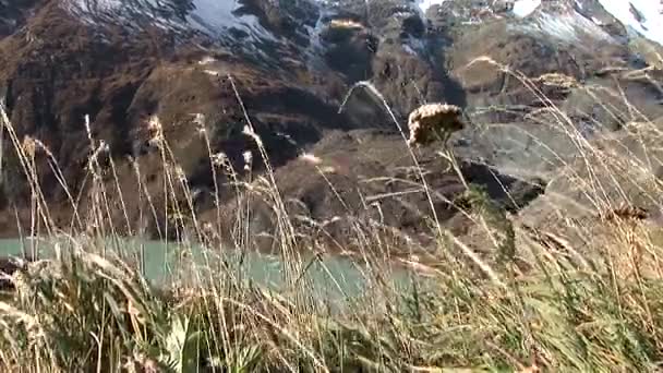 Lago di barriera vicino alla montagna Grossglockner — Video Stock