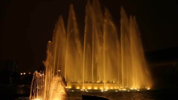 Lima'da su parkı — Stok video