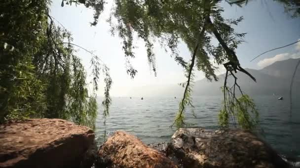 Водная сторона озера — стоковое видео
