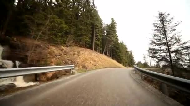 在森林里的乡间道路上行驶 — 图库视频影像