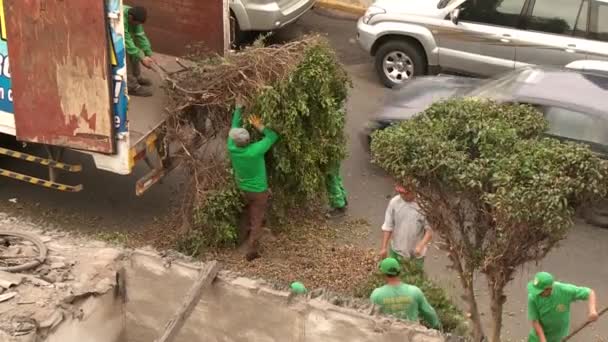 Lima, peru - ca nov 2012: arbetande trädgårdsmästare — Stockvideo