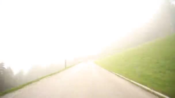 숲에서 countryroad에 운전 — 비디오