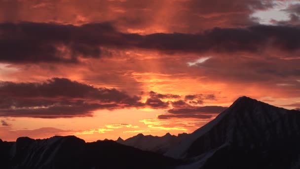 Edelweisspitze y Grossglockner montaña — Vídeo de stock
