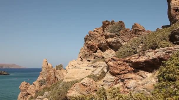 Palma de playa de Vai en Creta — Vídeo de stock