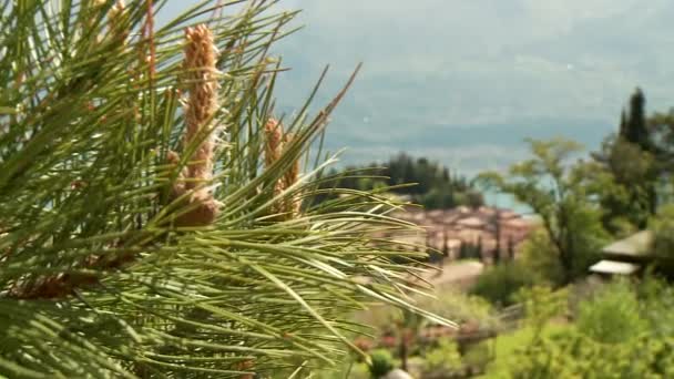 Pueblo típico de Italia, lago de Garda — Vídeo de stock