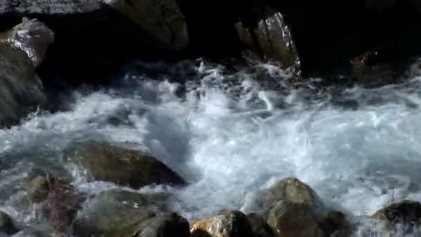 Fluss in den österreichischen Alpen — Stockvideo