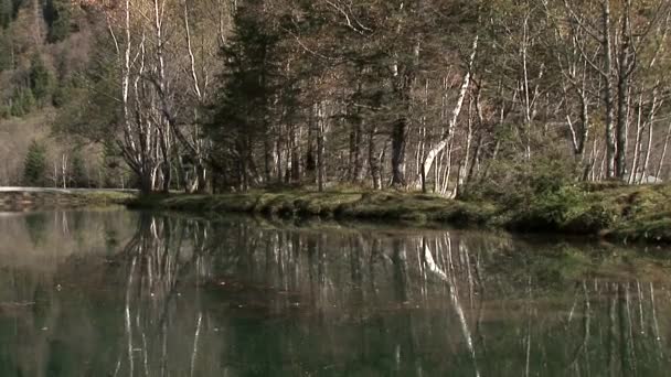 Lago de montaña en un bosque — Vídeos de Stock