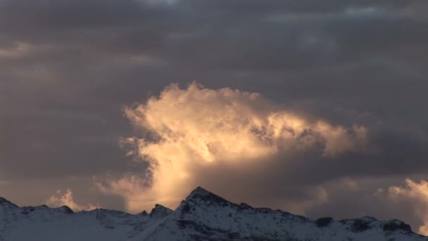 Edelweisspitze a horu grossglockner — Stock video