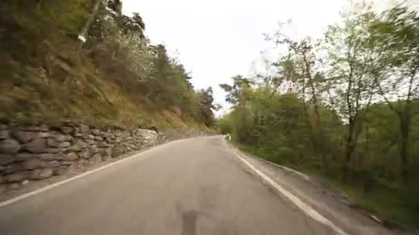 Autofahren im Wald in Italien — Stockvideo