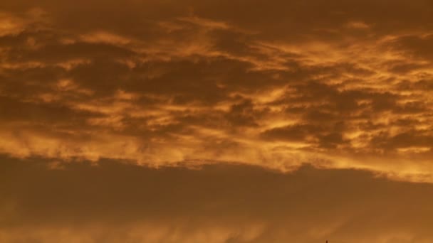 Power poles in the red sunset — Stock Video