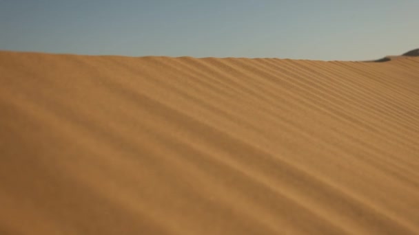 Desert in Ica, Peru — Stock Video