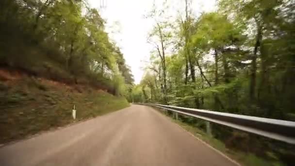 Driving forest in italy — Stock Video