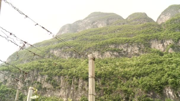 Wijnstokken groeien in Zuid-Tirol — Stockvideo