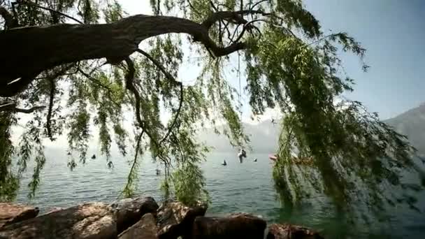 Водная сторона озера — стоковое видео