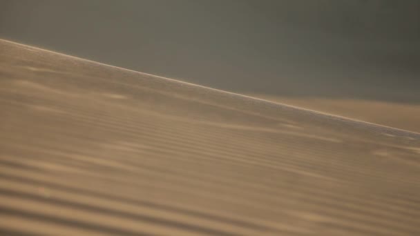 Desert with dunes in Ica — Stock Video