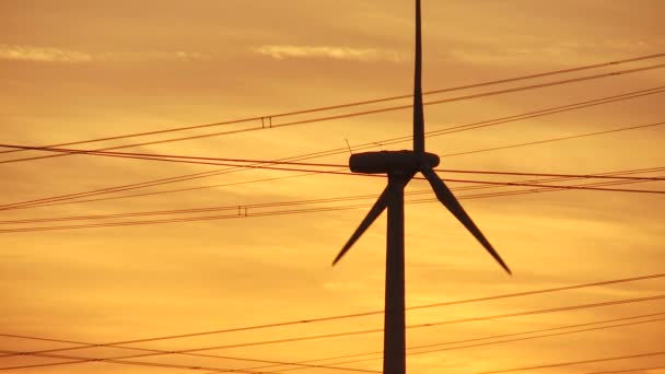 Pólos de energia no pôr-do-sol vermelho — Vídeo de Stock