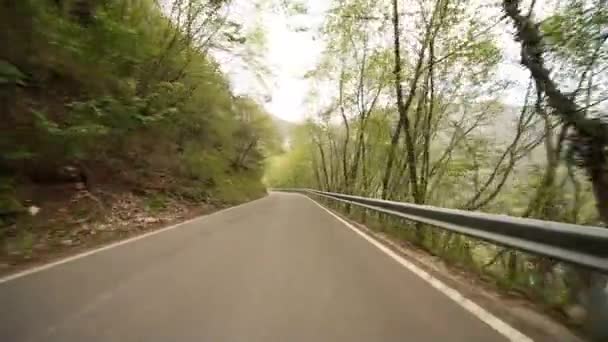 Driving in forest in Italy — Stock Video