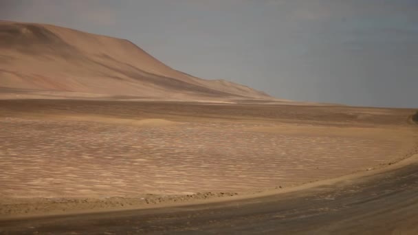 Desert in the paracas national park — Stock Video