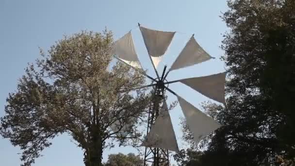 Typische Windmühle — Stockvideo