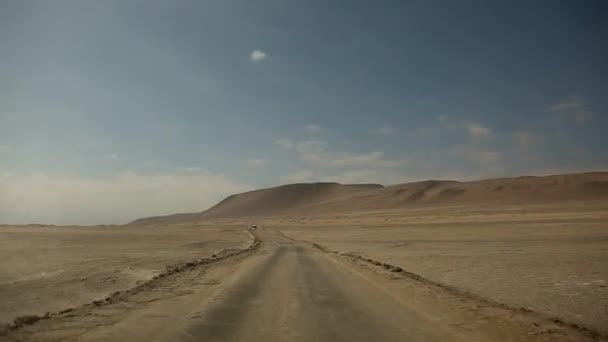 Desert, paracas national park — Stock Video