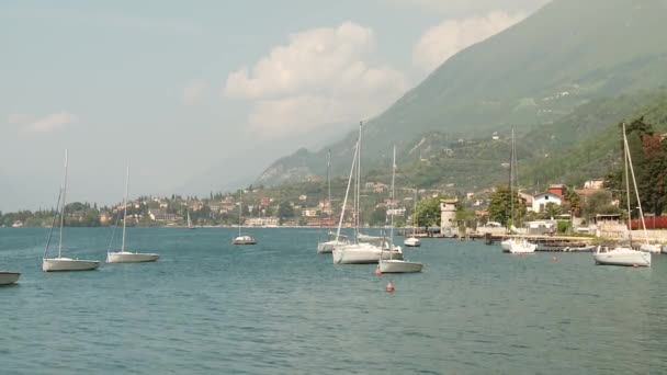 Voiliers au bord du lac — Video