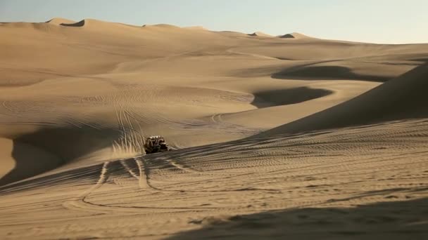 Viagem de buggy — Vídeo de Stock