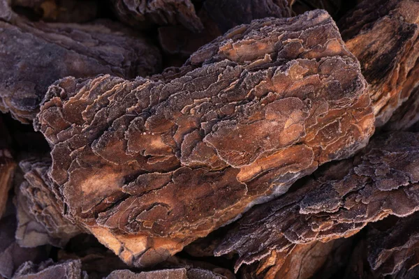 서리가 뒤덮여 나무껍질 조각들 — 스톡 사진