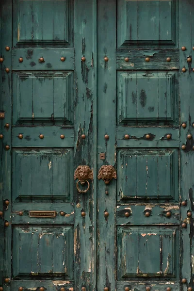 Old wooden door with peeling green paint, metal rivets and lion head handles — Fotografia de Stock