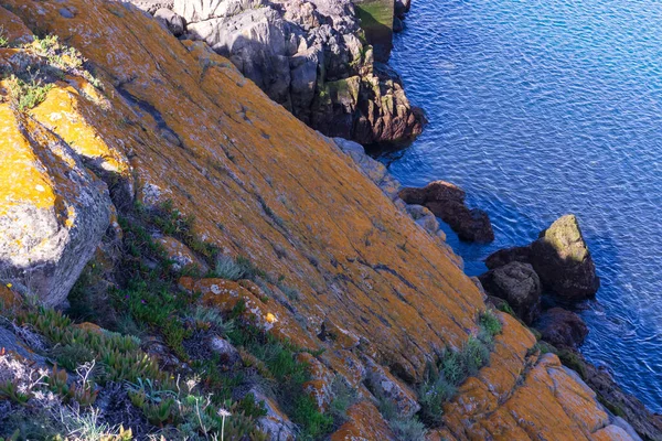 Batu Batu Ditutupi Dengan Lichen Kuning Atas Laut Biru Pada — Stok Foto