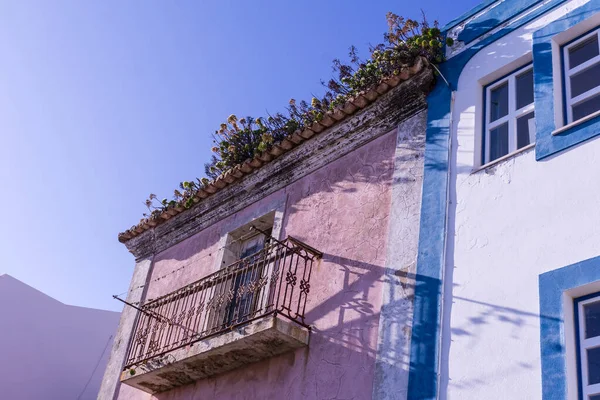 Old House Portuguese City Sines Plants Roof Day — ストック写真