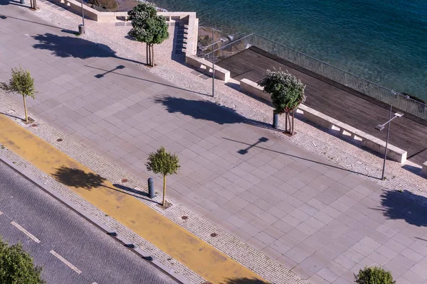 葡萄牙Sines市的棕榈树和海滩的堤岸 — 图库照片