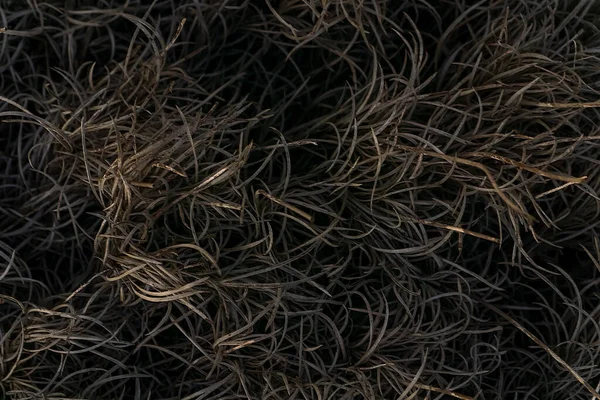Burnt Grass Patterned Abstract Gray Background Close — Stock Fotó