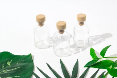 Egzotik bitkilerle parfümler için tıpa tıkaçlı üç cam şişe. Model.