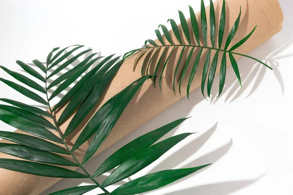 Palmenschatten Auf Weißem Hintergrund — Stockfoto