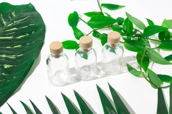 Drei Glasflaschen Mit Korkverschluss Für Parfüms Mit Exotischen Pflanzen Attrappe — Stockfoto