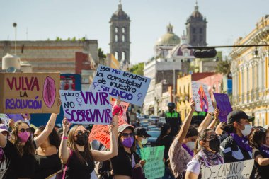 Uluslararası Kadınlar Günü anısına düzenlenen feminist bir gösteri olan 8M yolunda, Puebla 'daki kadın cinayetlerinin aydınlatılmasını talep ediyorlar..