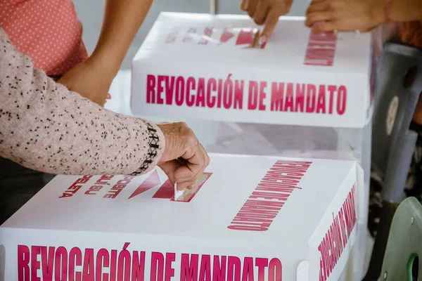 Vatandaşlar, Meksika Cumhurbaşkanı Andres 'in görevden alınması için Vatandaş Danışmanlığı' nda oy kullanmak üzere sandık başına gidiyor. 