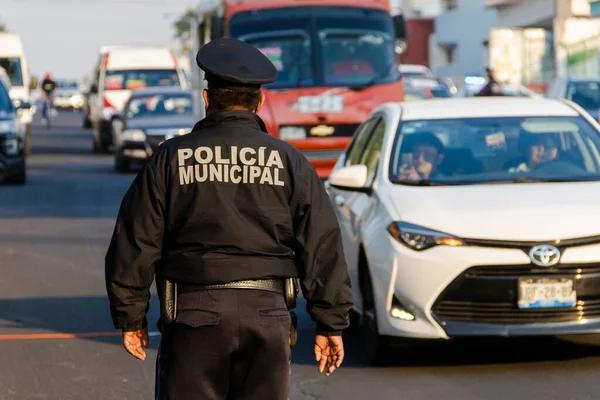Komşular Puebla şehrinde bir vadide temizlik yapıyorlar.