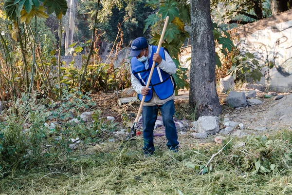 Komşular Puebla şehrinde bir vadide temizlik yapıyorlar.