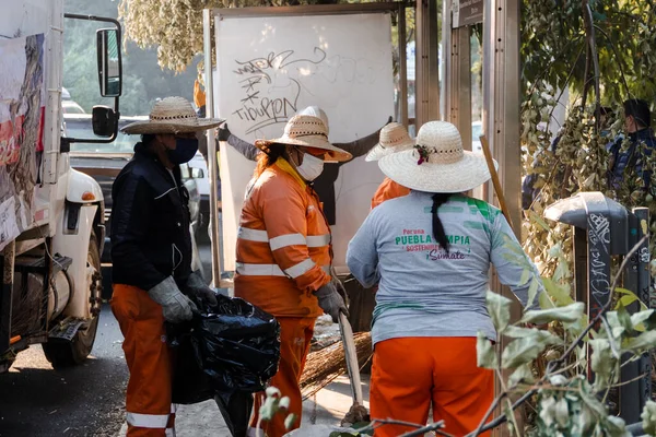 Komşular Puebla şehrinde bir vadide temizlik yapıyorlar.