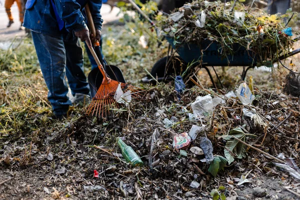 Komşular Puebla şehrinde bir vadide temizlik yapıyorlar.