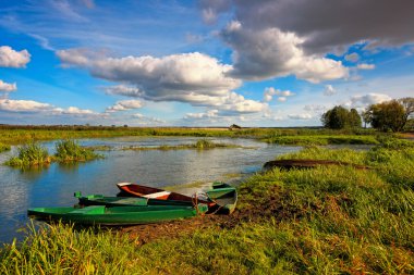 narew Nehri