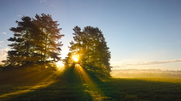 Foggy morning in Warmia — Stock Photo, Image