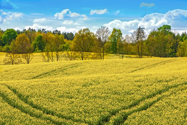 Spring of Warmia — Stock Photo, Image