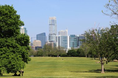 Sunny Green City Park, Austin Texas, ABD 'deki Zilker Park,